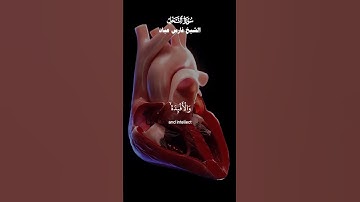 والله أخرجكم من بطون أمهاتكم لا تعلمون شيئا_ تلاوة عذبة من سورة النحل_ الشيخ فارس عباد_ #quran