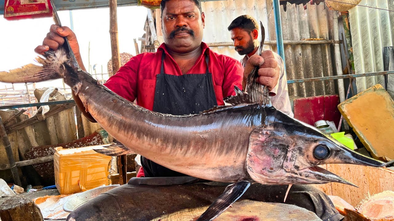 KASIMEDU SELVAM BIG KOLA FISH CUTTING VIDEO | CUTTING SPOT 🔪 - YouTube