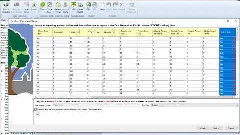 i-Tree Eco v6 -  external inventory data import troubleshooting steps
