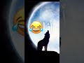 الفرق بين صوتي وصوت الذيب بدل ما اصير ذيب صرت كلب الفرق بين صوتي وصوت الذيب بدل ما اصير ذيب صرت كلب