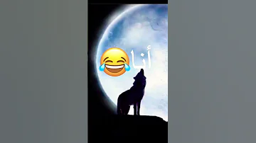 الفرق بين صوتي وصوت الذيب بدل ما اصير ذيب صرت كلب 
