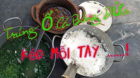 Đi câu cá bóng dừa trúng ổ kéo mỗi tay//Giàu Bờm TV