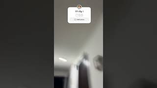 Help Me Out For Hours To Get Me Me I Fly Back To House To You Help Me Please