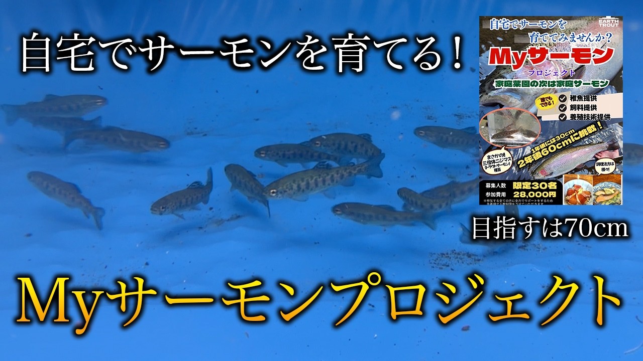 【自宅でサーモン養殖！？】70cmを超える高級サーモンを育てる新プロジェクト始動！