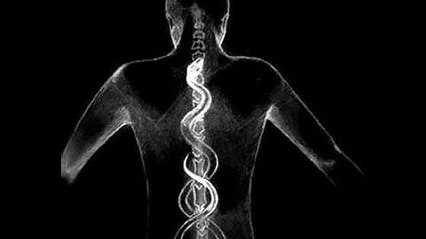 What Happens After Death Linked To The Most Powerful Reality Creation Technique.