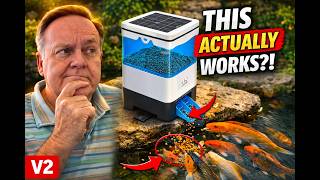 Never Feed Your Pond Fish Again? Solar Auto Feeder Test
