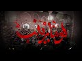 لو ما زينب // احمد الفتلاوي // عزاء موكب النجف الاشرف المهيب شهادة السيده زينب (ع) 1447 هــ