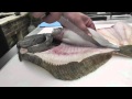 Passionate About Fish - How to Fillet a Wild Turbot