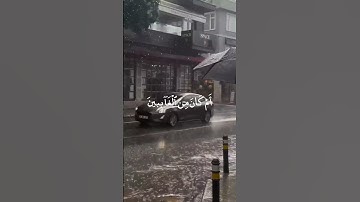 قصة الهدهد من اجمل القصص #سورة_النمل 🪽♥️