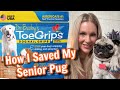 Dr buzbys toegrips saved my senior pug  before  after  an honest review