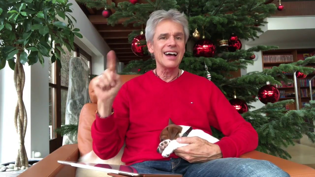 Der Weihnachtshund Der Weihnachtshund