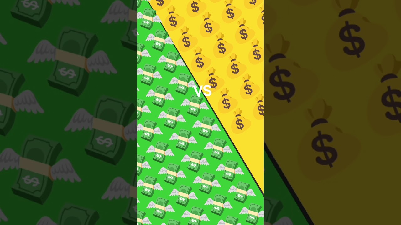 money bag vs money flyer