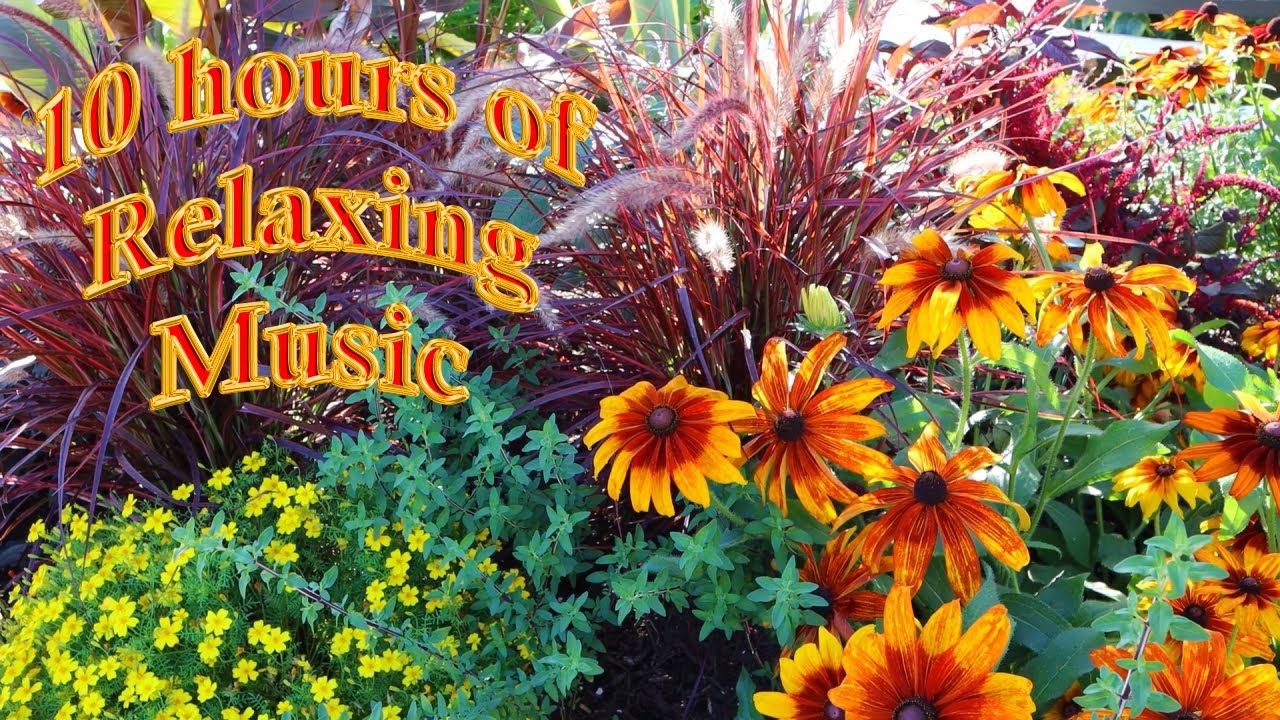 10 hours of relaxing music with a beautiful flower background featuring