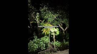 Terlalu Terburu Buru Untuk Kata Gagal sadvibes fpy sadstory