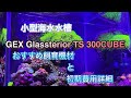 小型海水水槽　おすすめ飼育機材と初期費用詳細　　Glassterior TS 300CUBE【300キューブ水槽】 【マリンアクアリウム】【小型水槽】海水、サンゴ飼育