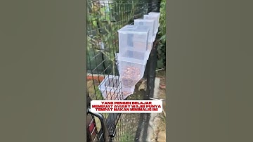 aviary minimalis #burung #mangkicauoffecial #kicaumania #burungkicaudialamliar #birds #masteran