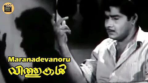 Maranadevanoru | K.J.Yesudas| Malayalam  Video Song | Vithukal 1971| Old is Gold |Central Talkies
