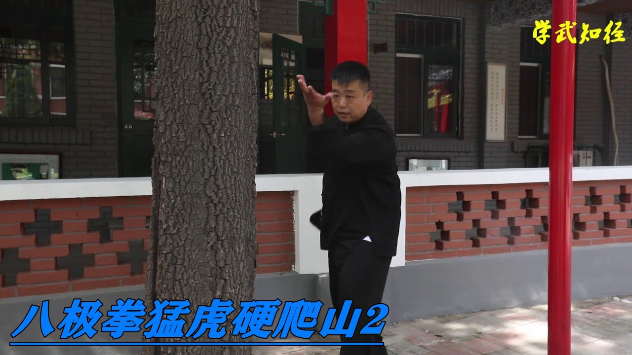 2 Bajiquan YouTube 2-bajiquan-youtube