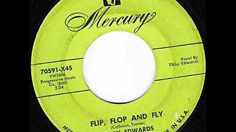 Tibby Edwards - Flip Flop And Fly