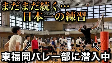 バレーボール 熊本の強豪鎮西高校男子バレー部にbeequickが潜入 練習風景全て公開します 前編 Mp3