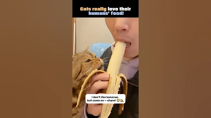 Watch the video about Cats really love their humans’ food! 😻🍌🍕#cat #funny #cute