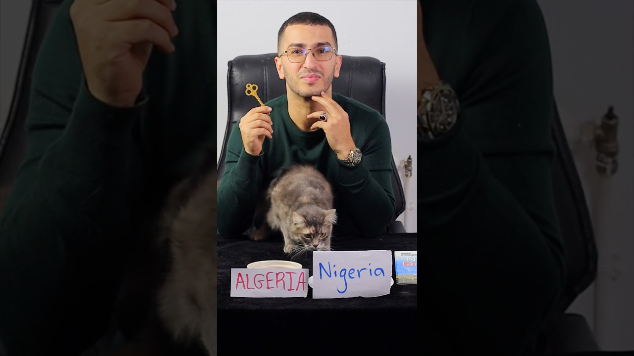 شاهد الفريق الذي اختاره القط للفوز ! 😨🇩🇿🇳🇬