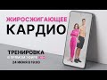 Жиросжигающее Кардио | Тренировка дома на 30 минут без инвентаря