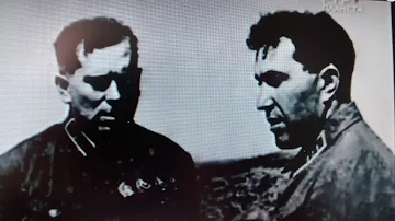 ШТЕРН, СМУШКЕВИЧ