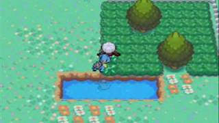 Pokemon Soul Silver Walkthrough Part #29: Johto's Safari Zone