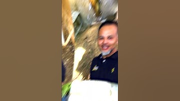 The Importance of Shoring in Construction 🏗️ | Safety & Stability First!