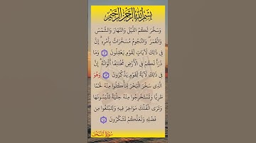 #سورة _ النحل_  القارئ صلاح_ بوخاطر