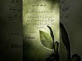 سرکار دو عالم صلی اللہ علیہ والہ وسلم نے فرمایا میری امت کے تمام لوگوں کے گناہ اللہ تعالی بخش دیں