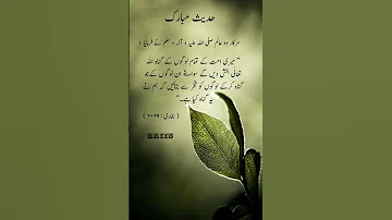 سرکار دو عالم صلی اللہ علیہ والہ وسلم نے فرمایا میری امت کے تمام لوگوں کے گناہ اللہ تعالی بخش دیں 