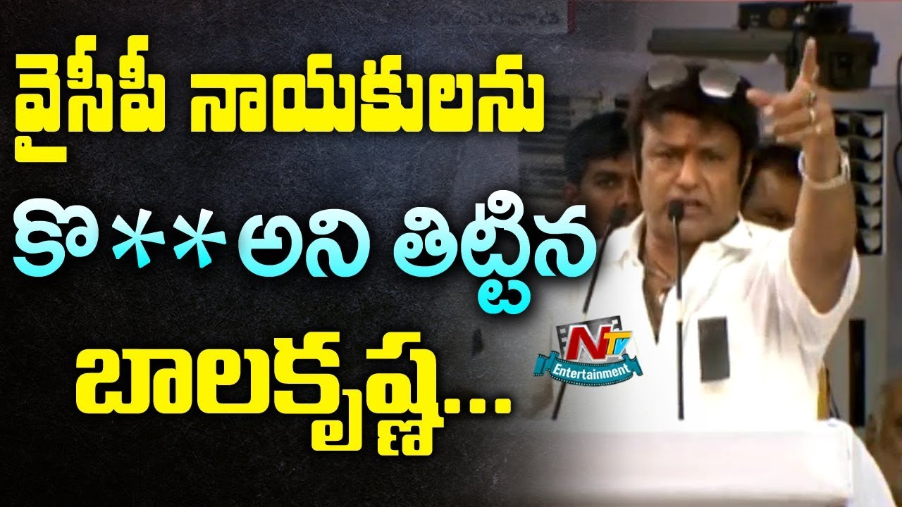 Balakrishna Controversy Comments on YCP Leaders | Chandrababu Deeksha | NTV ENT