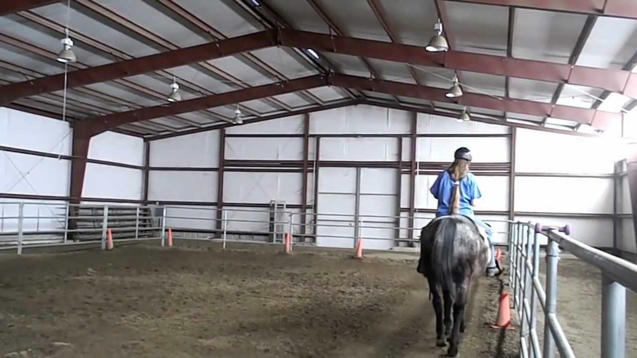 Canyon Ranch Physical Therapy, Colton, CA Hippotherapy w/Isaiah M