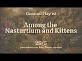 Among Nasturtium and Kittens 🌺 Pomodoro Timer 25/5 | 1 Hour Study Session | Classical Focus Music