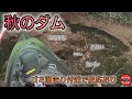 秋のトップウォーター！荒食い始まってます？【バス釣り】