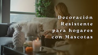 🐱DECORACIÓN Resistente para HOGARES con MASCOTAS