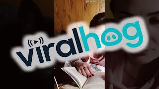 My Affectionate and Gentle Beast || ViralHog