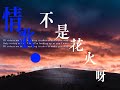 情歌 - 不是花火呀【動態歌詞】🎶