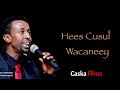 AWALE ADAN 2022 WIDH WIDHO HEES CUSUB LYRICS Mp3 Song