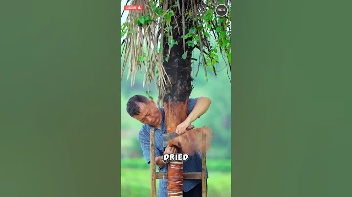 Natural Raincoat Made from Palm Sheets | Traditional Technique #amazingfacts