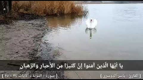 سورة : التوبة ( الآيات ٣٤ - ٣٥ ) القارئ : ياسر الدوسري
