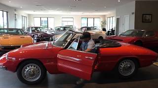 1966 Alfa Romeo Duetto Spider walk around & start up