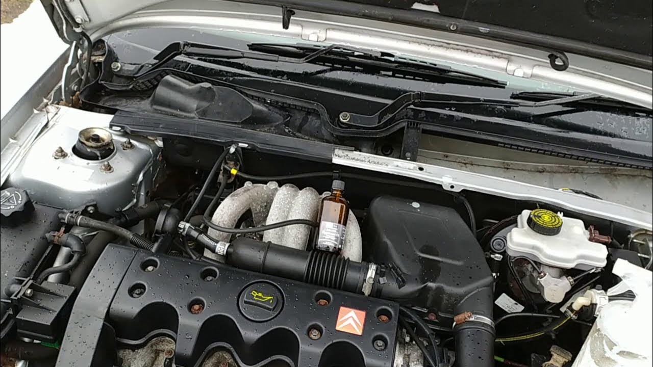 How to keep rodents / rats/ mice away form cars engine bay. - YouTube