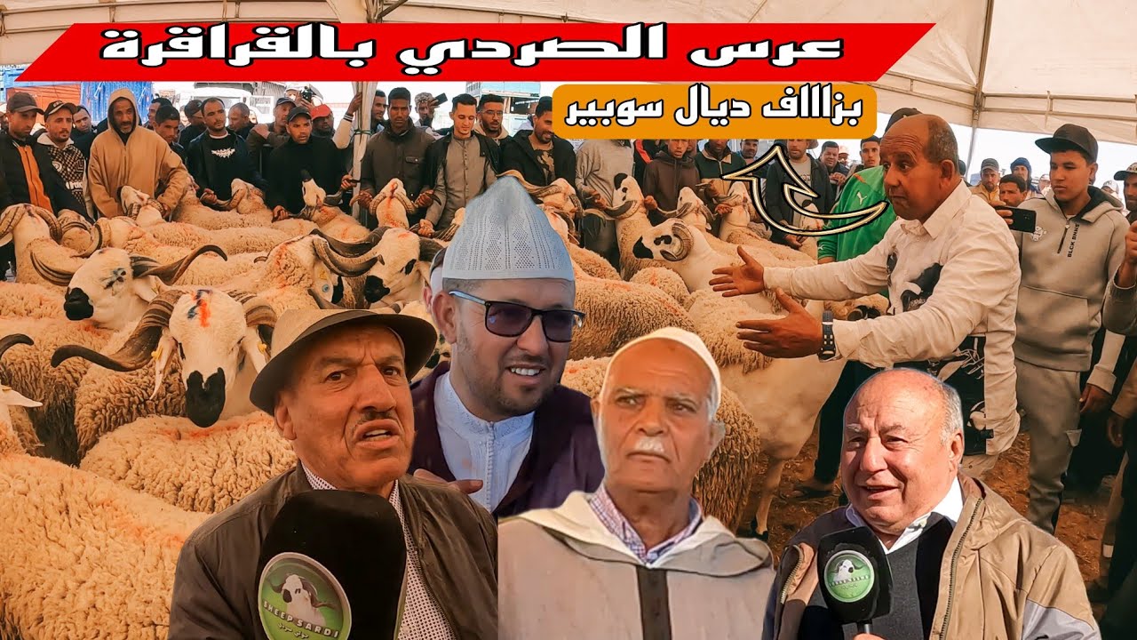 عرس الصردي بالقراقرة مع اكبر الكسابة و النتائج النهائة و كل كساب شحال جاب من سوبر