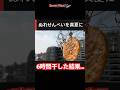 真夏にぬれせんべいを6時間干したら衝撃の結末になった
