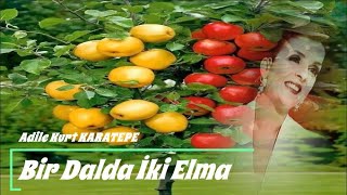 Adile Kurt Karatepe ⊰❀⊱ Bir Dalda İki Elma  ⊰❀⊱ Resimi