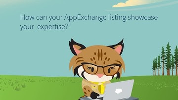 Showcase your Consulting Expertise on the AppExchange