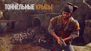 DAYS GONE Орда с Лоберт-Дроу-Ридж - Тоннельные крысы